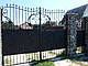 Ковані ворота для дачі, фото 4