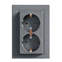 Розетка подвійна із заземленням Schneider Electric Asfora Сталь EPH9900162