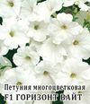 Насіння Петунія багатобарвна Горизонт F1 Вайт 250 насіння Pan American, фото 2