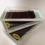 РОСЛИНИ ТОНОМНО-КОРИЧНІ NAGARAKU MIX 0,07D 7-15, фото 2