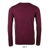 Чоловічий пуловер з v-подібним вирізом GLORY MEN, фото 9