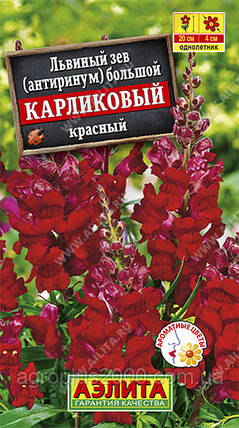 Насіння Ловіний зів (антиринум) Карликовий Червоний 10 насіння Аеліта, фото 1