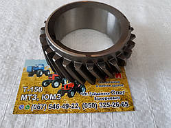 Шестірня вала колінчастого Д 260, Д-260, Д-262, Д-263, Д-265 Z = 27 260-1005030-В