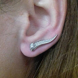 Срібні кафи Болонья