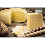 Закваска +фермент для ВЕРШКОВОГО сиру, фото 2