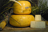 Закваска +фермент для сиру ГАУДА, фото 4