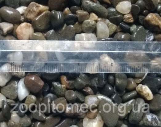 Грунт для акваріума Aquarium Plus (Акваріум Плюс) Галька річкова 5*8, 10 кг, фото 1