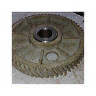 Шестерня ГАЗ 53,3307 розподільного валу 13-1006020