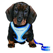 Шлейки для собак