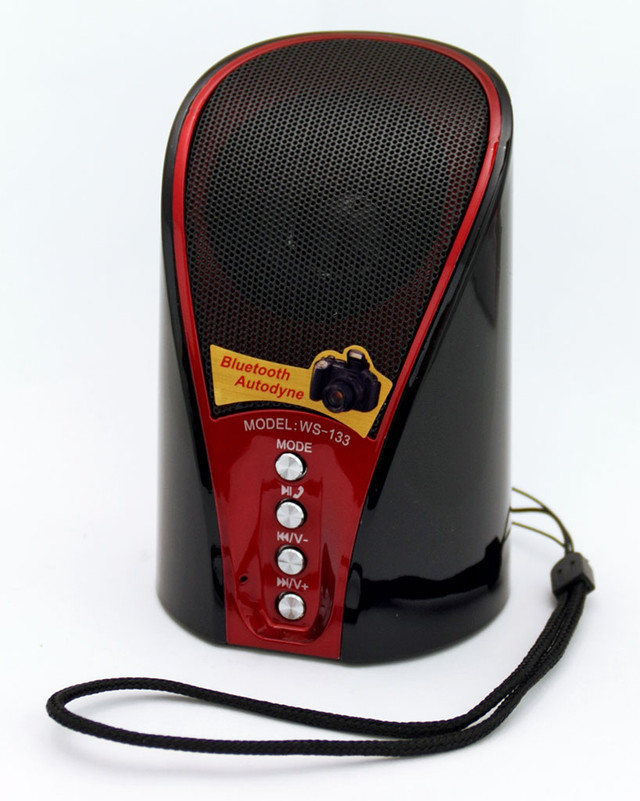 Портативна колонка SPS WS 133 BT з bluetooth, mp3 плеєром і радіо