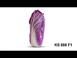 Ямада (KS 888 F1) 10 шт. насіння червоношкіряної пекінської капусти Kitano, фото 2