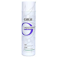 Мило для жирної та комбінованої шкіри GIGI Aroma Essence Soap For Oily & Combination Skin 250 мл