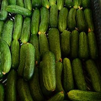 Маша F1 огірок  1000 нас., Seminis, фото 1