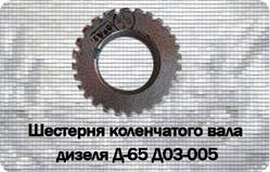 ЮМЗ Шестерня колінвала д65