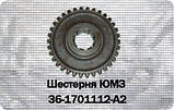 Шестірня кп ЮМЗ-6 z-34 1-й передачі та заднього ходу 40-1701112, фото 3