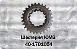 Шестірня ЮМЗ КПП 1 передавання провідної 40-1701054 (ЮМЗ, Д-65), фото 3