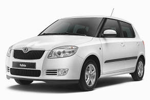 Захист двигуна Skoda Fabia (2007-)(Захист двигуна Шкода Фабія) Автопристрій