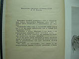 Хінкулов Л. Тарас Шевченко (б/у)., фото 6