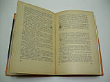 Хінкулов Л. Тарас Шевченко (б/у)., фото 8