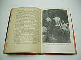 Хінкулов Л. Тарас Шевченко (б/у)., фото 9