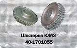 Шестірня ЮМЗ 4-й і 5-й передачі  ⁇  КПП  ⁇  Z=37/41  ⁇  40-1701055, фото 2