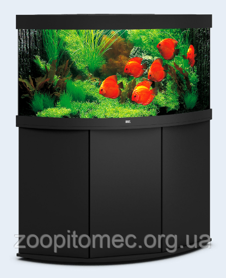 Тумба угловая для аквариума Juwel (Джувел) TRIGON 350 Тумба угловая