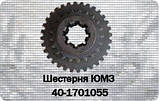 Шестірня 2 і 4 передач КПП ЮМЗ-6, Д-65 40-1701117-А ковзна, фото 3