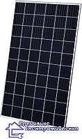 Сонячна батарея Risen RSM60-6-280P, 280 Вт, 5bb