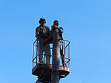  Корчування пней.спіл дерева.Вив пней, фото 9