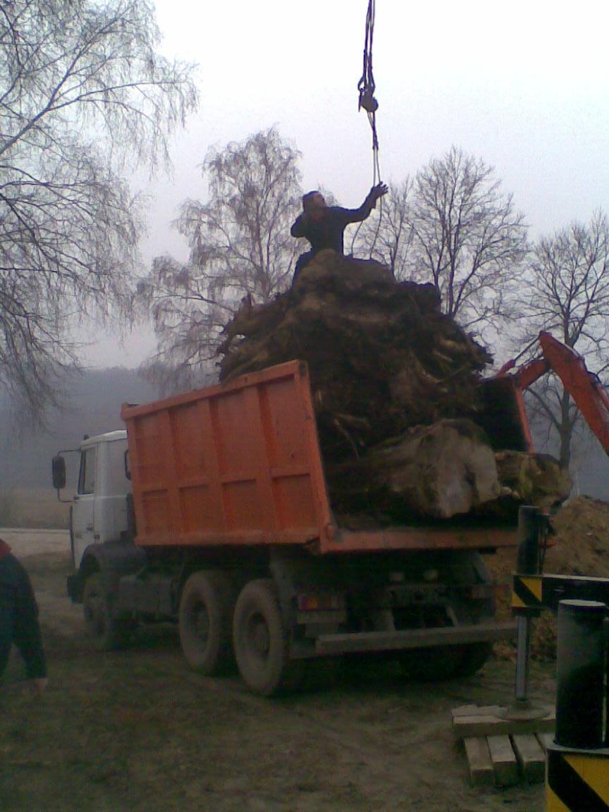  Корчування пней.спіл дерева.Вив пней