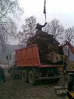  Корчування пней.спіл дерева.Вив пней