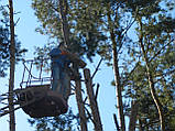 Спілювання дерев у важкодоступних місцях., фото 9