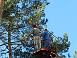 Спілювання дерев у важкодоступних місцях., фото 10