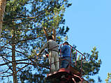 Спілювання дерева в Києві та захмари., фото 8