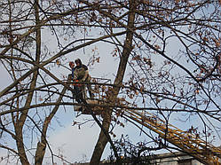 Видалення дерева частинами