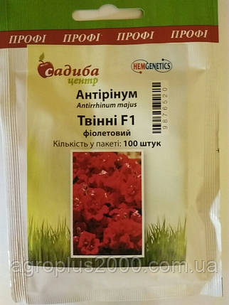 Насіння Левовий зів махровий Твінні F1 Фіолетовий 100 насінин Hem Genetics, фото 3
