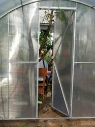 Коли поливати рослини у теплиці?