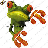 Наклейка 3D - "Moodeosa Frog", фото 2