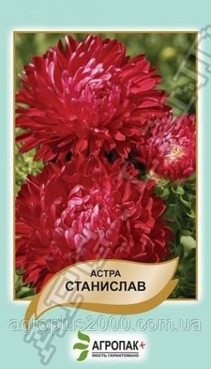 Насіння Астра півонієподібна Станіслав 0,2 грама Legutko Агропак