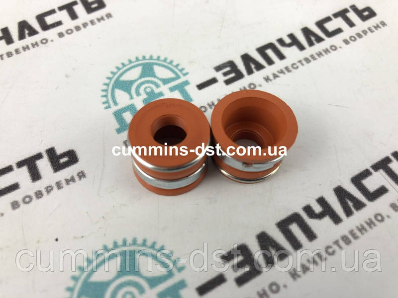 Сальник клапана без тарілки Cummins 4B/6B 3921639