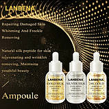 Сироватка для обличчя Lanbena Silver Silk Ampoule, срібний шовковий колаген равлика гіалуронка, фото 10