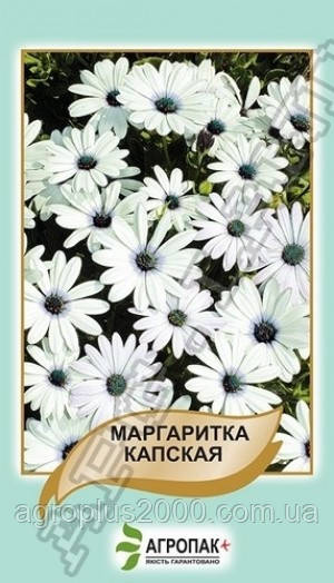 Насіння Остеоспермум (маргаритка капська) 20 насіння Legutko Агропак