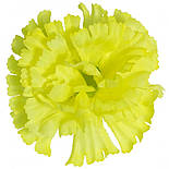 Гвоздика велика, 9см ( за 100 шт в уп), фото 2