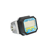 Електронний лічильник 1 дюйм з овальними шестернями, фото 2