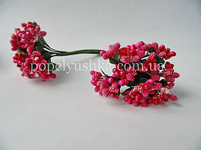 Дрібноцвіт малиновий