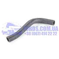Патрубок радіатора нижній FORD RANGER 1998-2003 (3599755/XM348286AA/CS3005) DP GROUP