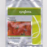Панекра F1 10 шт насіння томату високорослого Syngenta Голландія, фото 2