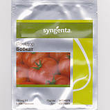Бобкат F1 насіння томату низькорослого Syngenta Голландія 1000 шт, фото 2