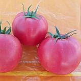 Хепінет F1 1000 шт. насіння томата низькорослого рожевого Syngenta Голландія, фото 3
