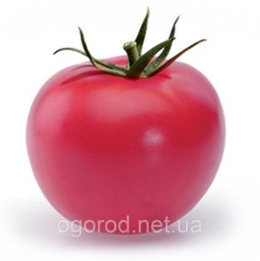 Хепінет F1 10 шт. насіння томата низькорослого рожевого Syngenta Голландія